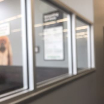 Pet Supplies Plus Fort Myers - Grooming - Pet Stores Near Me - Fort Myers, Florida