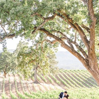 Alyssa Wendt Photography - Session Photography Near Me