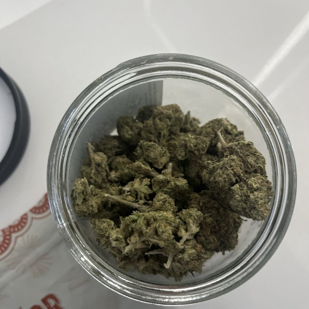 Smartweed - Dry leafy and full of stems - Cannabis Clinics Near Me - Los Angeles, California Smartweed - Dry leafy and full of stems - Cannabis Clinics Near Me - Los Angeles, California