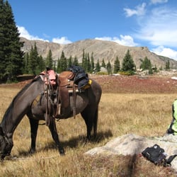 Mega Mountain Magic - SEP09 - Full Day Ride