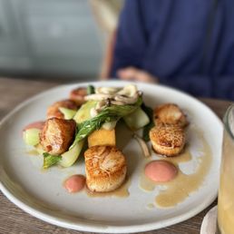 Scallops