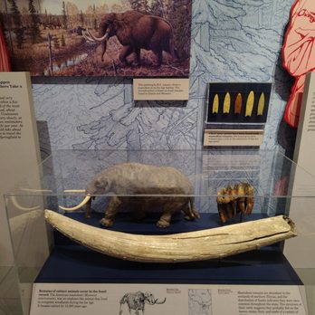 Illinois State Museum - Museums Near Me - Springfield, Illinois
