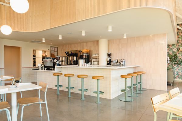 Biscuit Love Cincinnati by null