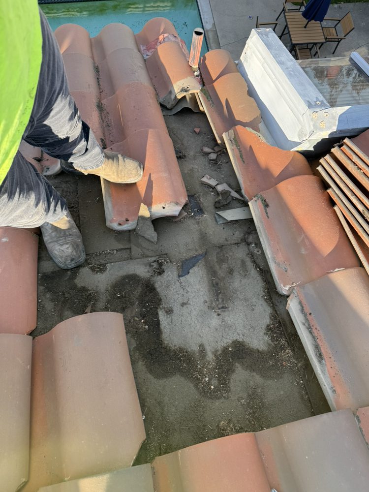 Slide of Carlos Martinez 