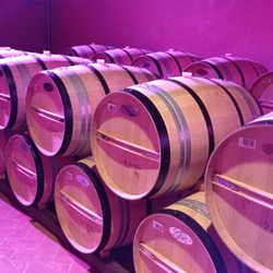 Ruffino - Botti