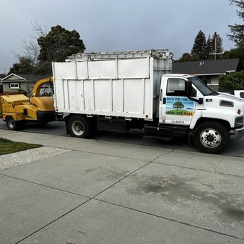 Royal Tree Care - Tree Services Near Me - Menlo Park, California Royal Tree Care - Tree Services Near Me - Menlo Park, California