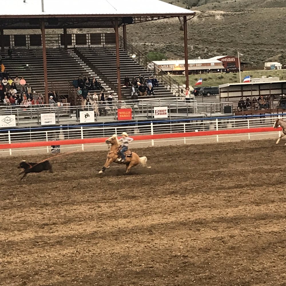 Cody Stampede Rodeo Ticket Office - Cattle roping - Rodeo Near Me - Cody, Wyoming