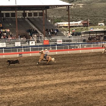 Cody Stampede Rodeo Ticket Office - Cattle roping - Rodeo Near Me - Cody, Wyoming