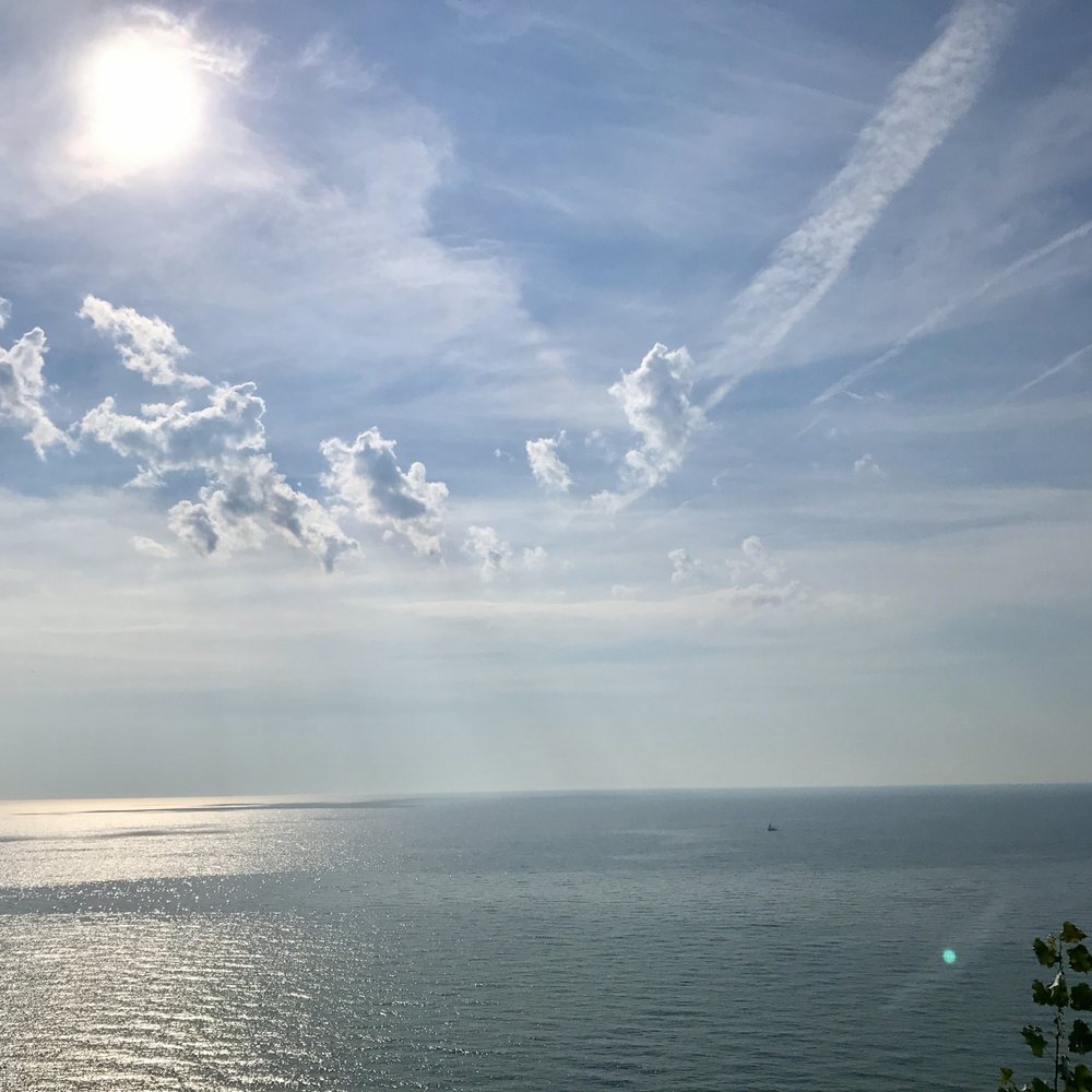 Rosetta McClain Gardens - Lake Ontario - Parks Near Me - Toronto, Ontario