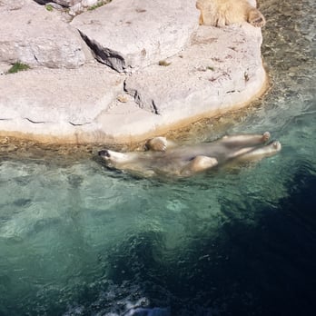 Toronto Zoo - Relaxing - Zoos Near Me - Toronto, Ontario Toronto Zoo - Relaxing - Zoos Near Me - Toronto, Ontario