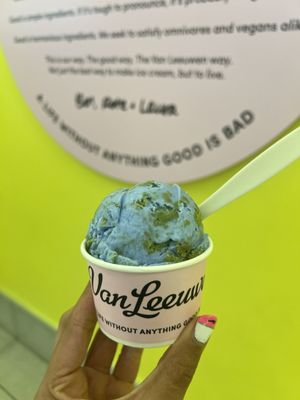 Van Leeuwen Ice Cream by null