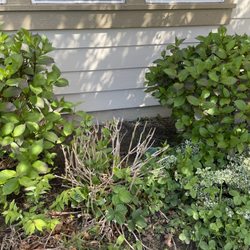 Dolan Dynamic Landscaping