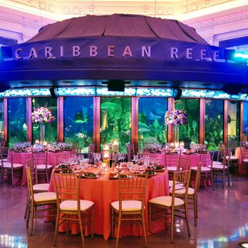 Liven It Up Events - Party & Event Planning Near Me - Chicago, Illinois