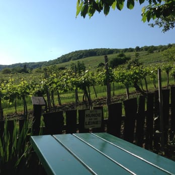 Weinhof Zimmermann - blick in die reben - Heuriger Near Me - Vienna, 9 Weinhof Zimmermann - blick in die reben - Heuriger Near Me - Vienna, 9