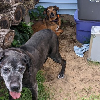 Pet Passages - Pet Cremation Services Near Me - Livonia, Michigan Pet Passages - Pet Cremation Services Near Me - Livonia, Michigan