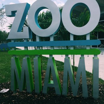 Zoo Miami - Zoo Miami sign - Zoos Near Me - Miami, Florida Zoo Miami - Zoo Miami sign - Zoos Near Me - Miami, Florida