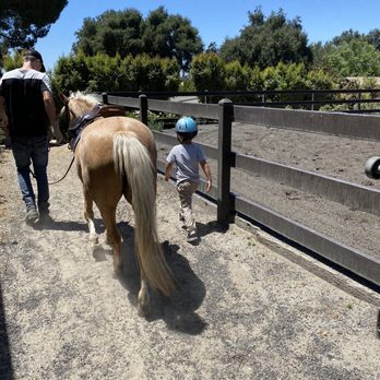 Bellaventage Farms - Horseback Riding Near Me - Bradbury, California