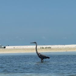 Get Up And Go Kayaking - Tampa Bay