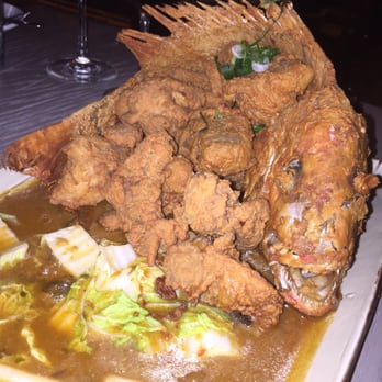 Pisco Y Nazca - Gastropubs Near Me - Kendall, Florida Pisco Y Nazca - Gastropubs Near Me - Kendall, Florida