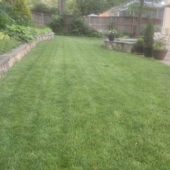 Lawn Mate Quality Lawncare - Back Yard - Tree Services Near Me - Annandale, Virginia Lawn Mate Quality Lawncare - Back Yard - Tree Services Near Me - Annandale, Virginia