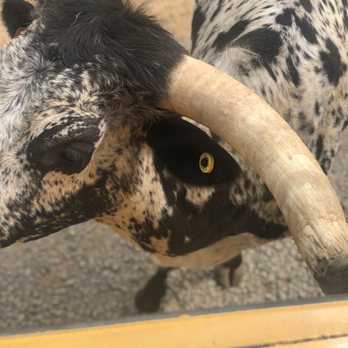 Nova Wild - Petting Zoos Near Me - Vienna, Virginia