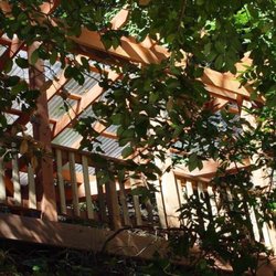 Green & Growing Landscape - Covered redwood patio