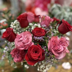 Bloom Flower