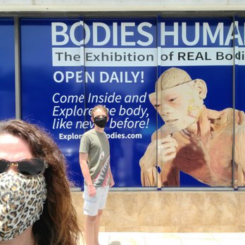 Bodies Human - Outside and near the entrance (in the parking lot directly in front). - Museums Near Me - St. Augustine, Florida