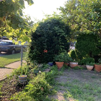 Gardens & Trees Landscaping - Before - Landscaping Near Me Gardens & Trees Landscaping - Before - Landscaping Near Me