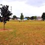Photo of Otsego County Dog Park