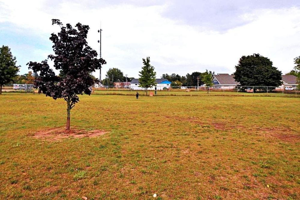 Otsego County Dog Park Logo