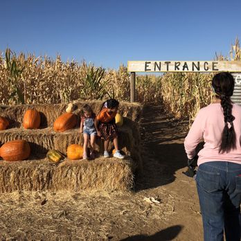 Three Nunns Farm - Corn maze - Pumpkin Patches Near Me - Brentwood, California Three Nunns Farm - Corn maze - Pumpkin Patches Near Me - Brentwood, California