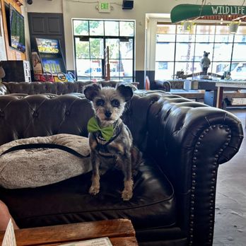 Camp Canine - Pet Groomers Near Me - Santa Barbara, California