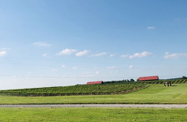 TALON WINERY & VINEYARD - 143 Photos & 123 Reviews - Wineries - 7086 ...