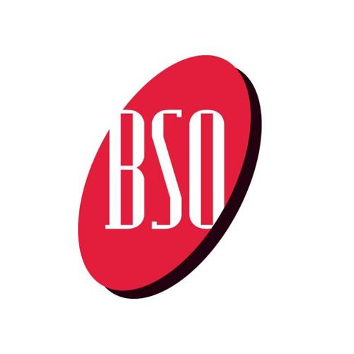 Beauty Supply Outlet Express Logo
