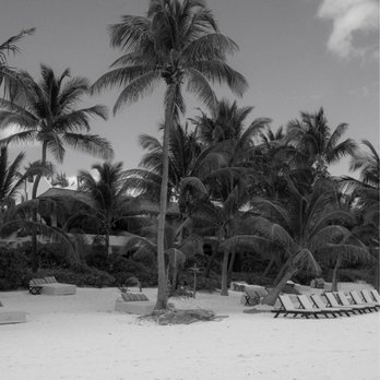 ZIGGY Beach Club & Restaurant - Mexican Near Me - Tulum, ROO