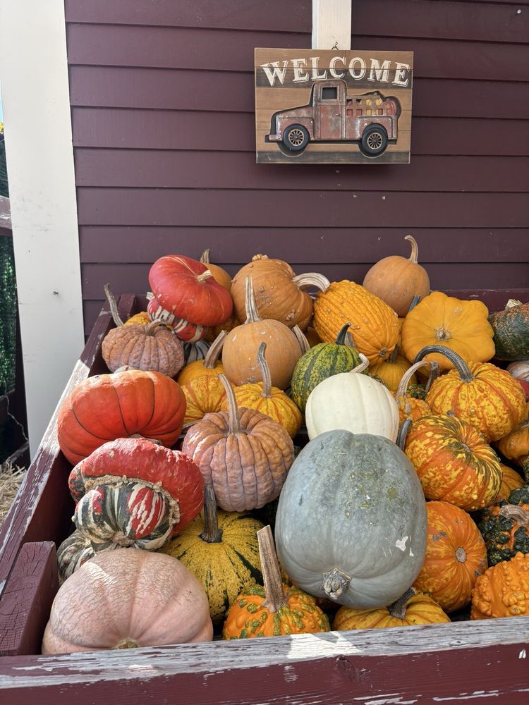 The Bean Family Farm - beekeeping in Westwood, MA