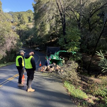 Twins tree services - Tree Services Near Me Twins tree services - Tree Services Near Me