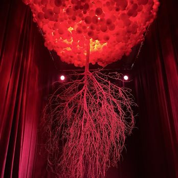 Balloon Museum - Art Museums Near Me - Dallas, Texas
