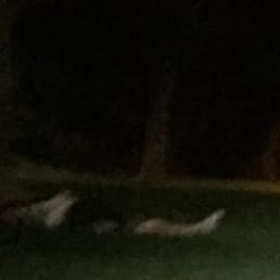 People either sleeping or dead in the middle of the night.