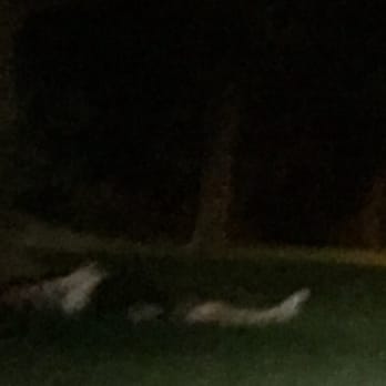 Best Western Heritage Inn - Chico - People either sleeping or dead in the middle of the night. - Hotels Near Me - Chico, California