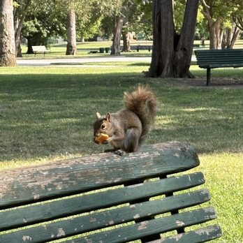 McKinley Park - Parks Near Me - Sacramento, California McKinley Park - Parks Near Me - Sacramento, California