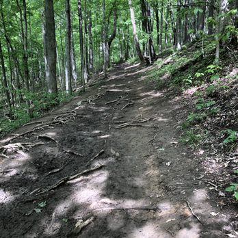Tioga Falls Trail - Hiking Near Me - West Point, Kentucky