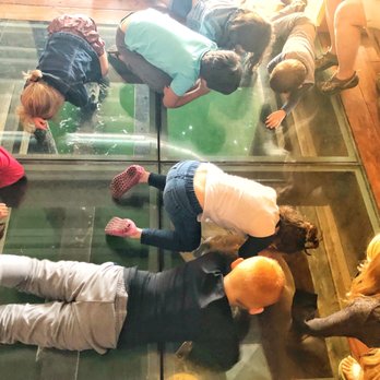 Buoy Beer - Plexiglass sea lion viewing window On the floor - Brewpubs Near Me - Astoria, Oregon