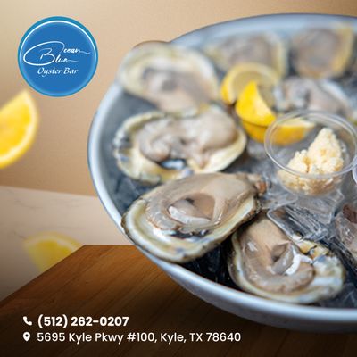 Ocean Blue Oyster Bar Kyle by null