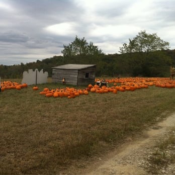 Burger Farm & Garden Center - Nurseries & Gardening Near Me - Cincinnati, Ohio