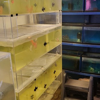Fish Warehouse - Fish warehouse - Local Fish Stores Near Me - Westminster, California
