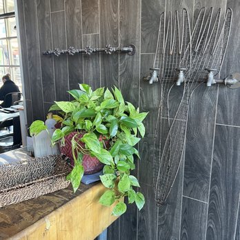Fork & Fig - Burgers Near Me - Albuquerque, New Mexico