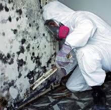 Mold Removal Huntington Beach - mold inspector in Huntington Beach, CA