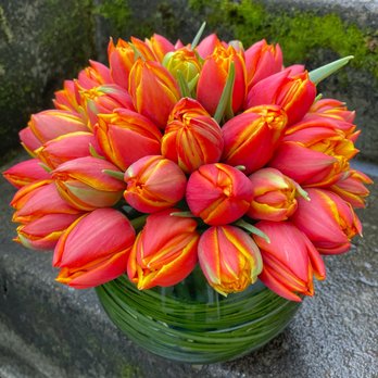 Fiori Floral Design - One of our very popular Spring Tulip Bowls with fancy double tulips. - Florists Near Me Fiori Floral Design - One of our very popular Spring Tulip Bowls with fancy double tulips. - Florists Near Me